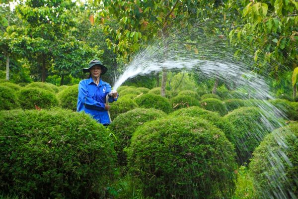 dịch vụ mai táng trọn gói dịch vụ mai táng hoa viên bình dương