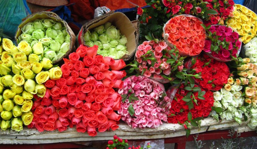 Ý nghĩa của hoa hồng là “tràn đầy hạnh phúc”