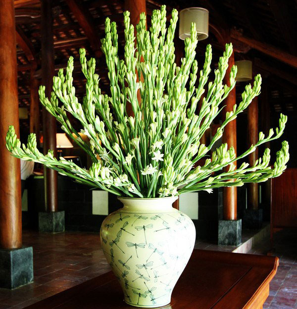 Hoa huệ tượng trưng cho sự thanh khiết