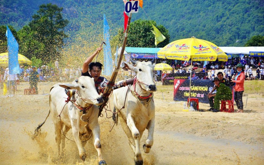 Lễ hội truyền thống Việt Nam đặc sắc trong tháng 8 âm lịch Lễ hội truyền thống Việt Nam đặc sắc trong tháng 8 âm lịch